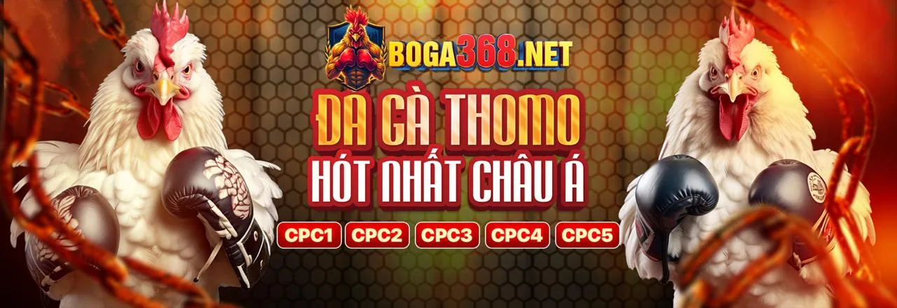 Đá Gà Trực Tuyến Hấp Dẫn tại g088 đăng nhập